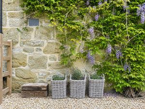 Baskets- click for photo gallery